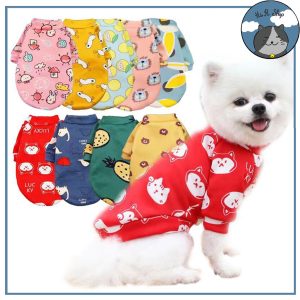 Đồ đông cho cún