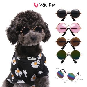 Kính mắt cho thú cưng – Phụ kiện thời trang    chó mèo
