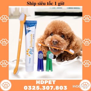 Kem Đánh Răng Cho Thú Cưng -Chăm Sóc Răng Miệng Hiệu Quả