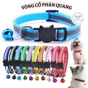 Vòng cổ cho thú cưng – Phụ kiện thời trang và nhận diện